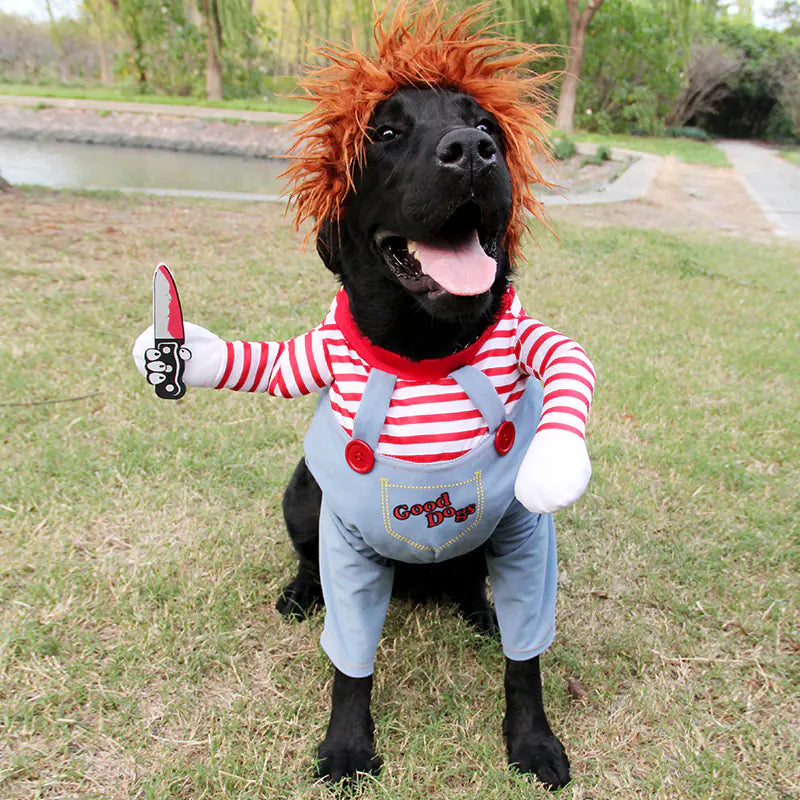 Halloween Costume for Dogs - Fun Pet Outfit Set