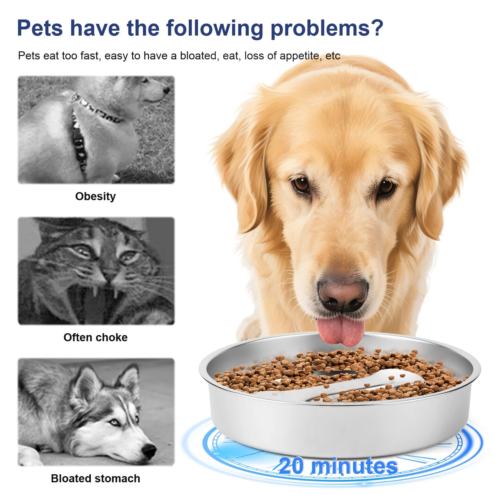 304 Stainless Steel Slow Feeder Dog Bowls with Non-Slip Mat Dog Wat Anti-Choking Pet Food Bowls for Small & Medium Dogs