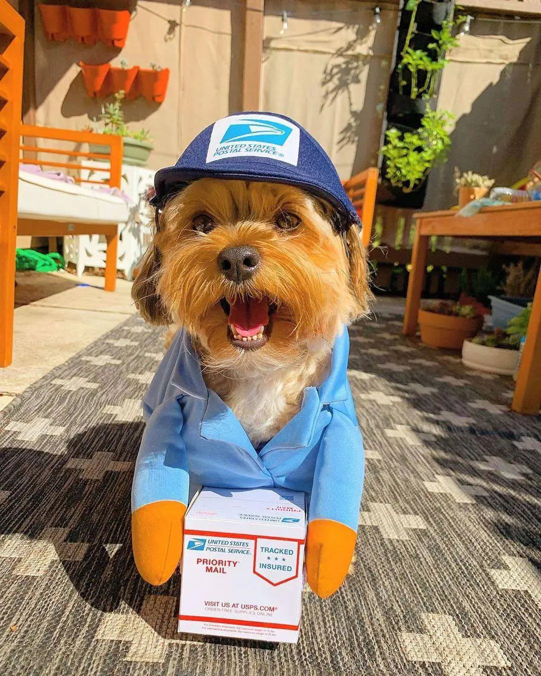 Funny Express Pet Apparel for Dogs and Cats