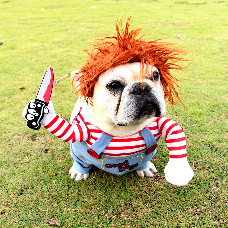 Halloween Costume for Dogs - Fun Pet Outfit Set