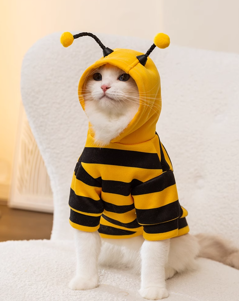 Bee Hoodie for Pets (One Piece)