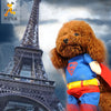 Pet Dog Costume Outfit for Small Dogs