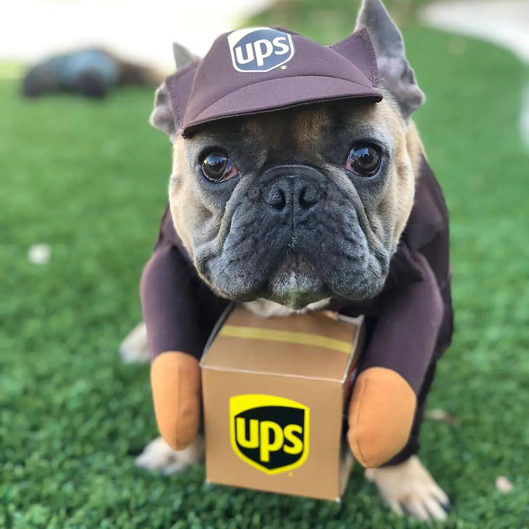 Funny Express Pet Apparel for Dogs and Cats