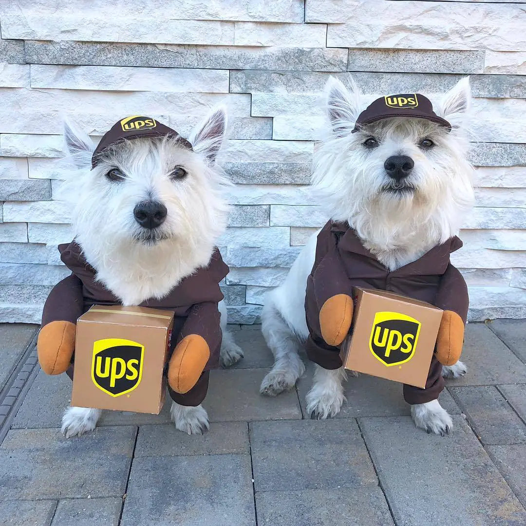 Funny Express Pet Apparel for Dogs and Cats